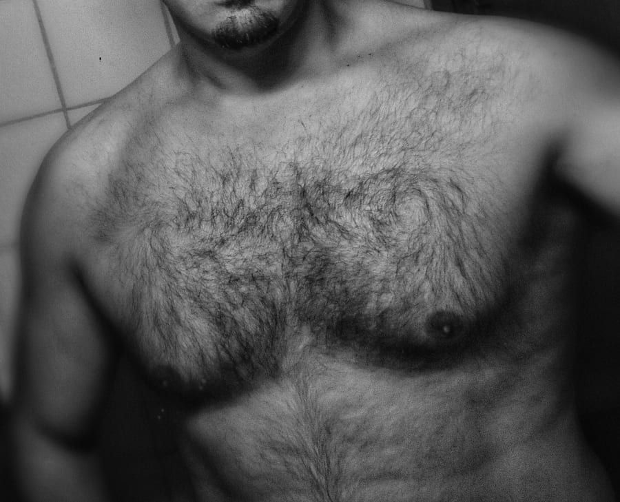 Profil de Houssin